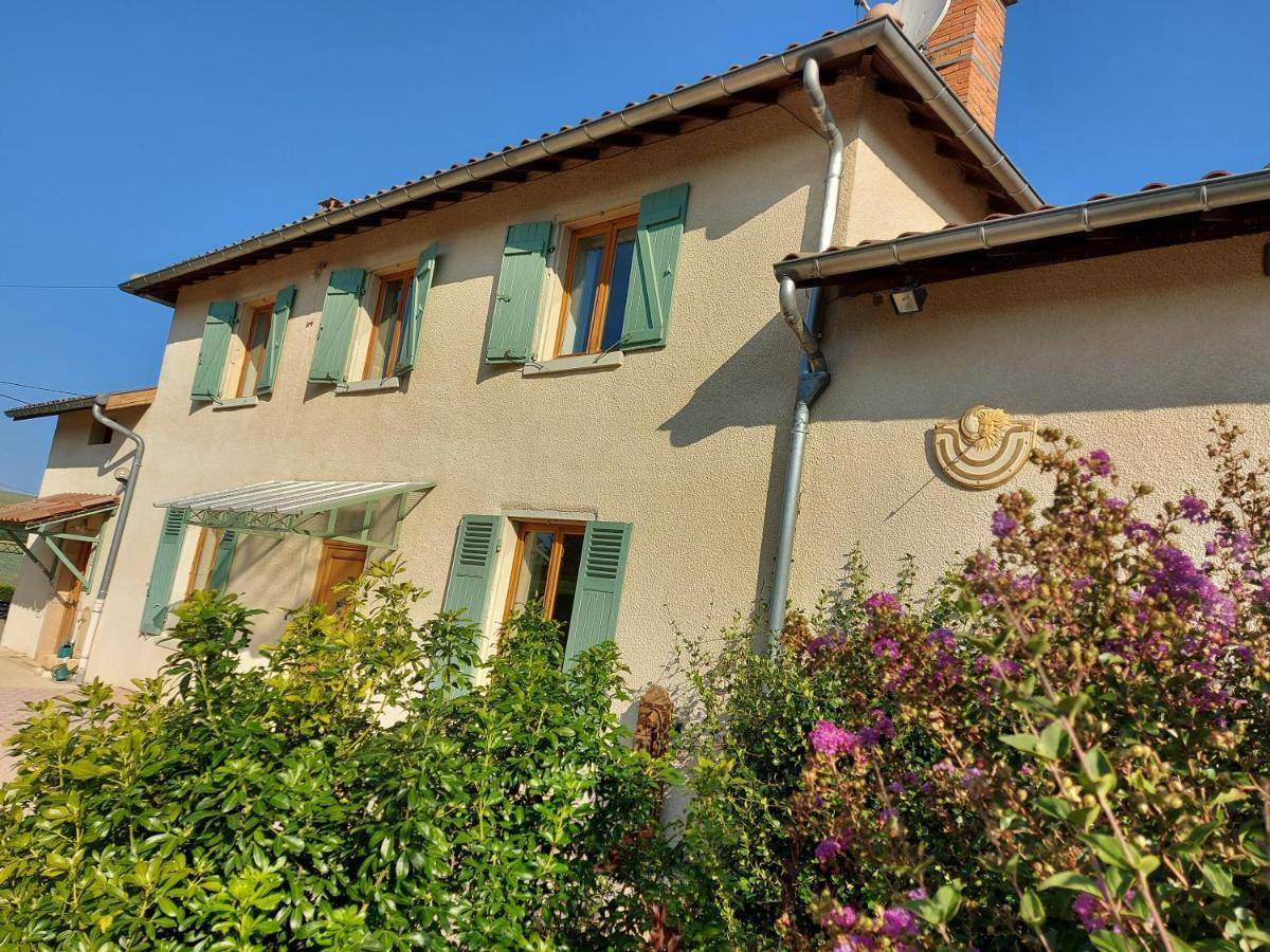 Hotel Le Moulin De L'Etang Chaneins Exterior foto