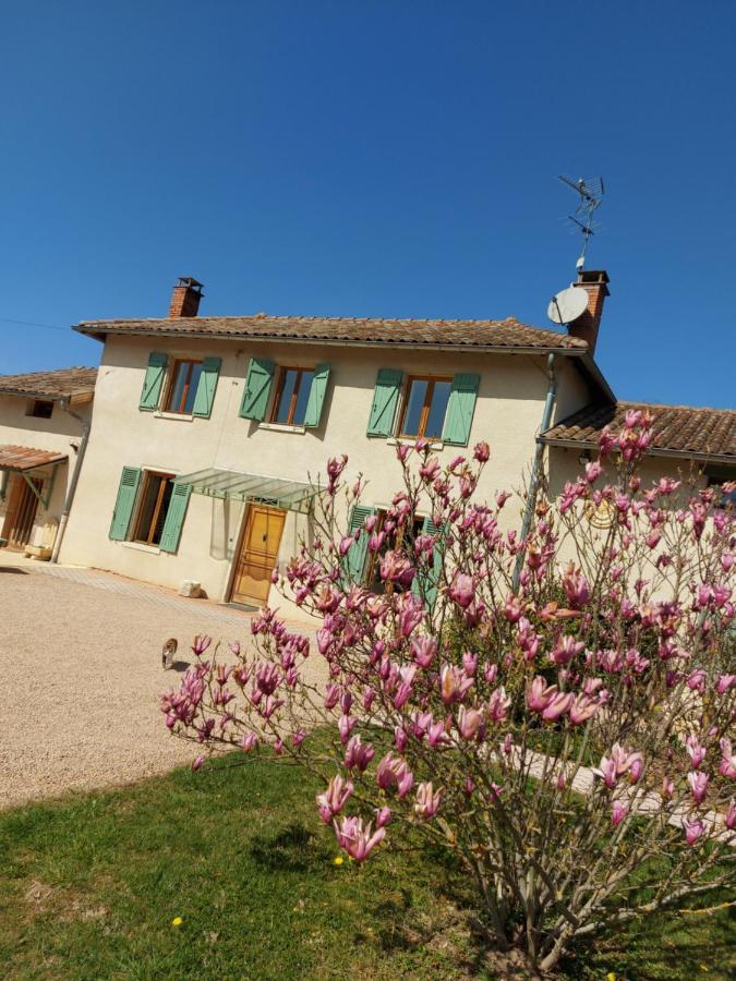 Hotel Le Moulin De L'Etang Chaneins Exterior foto
